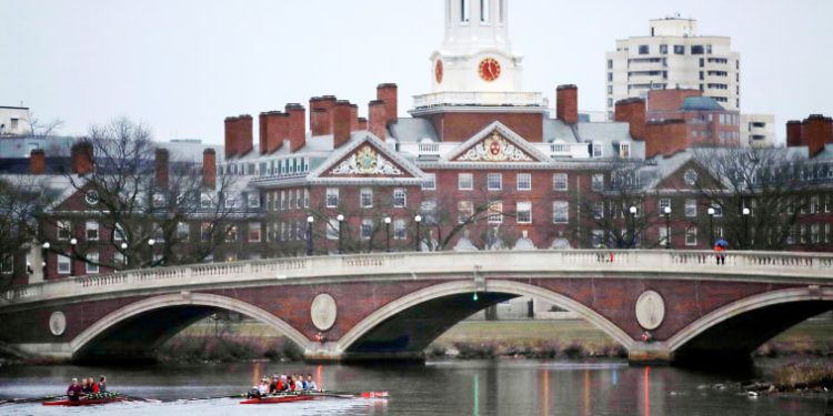 Law firm rescinds job offers to Harvard students who signed Israel letters