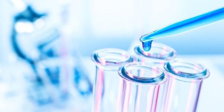 Pharma Market Forecast: Top Trends That Will Affect Pharma in 2024