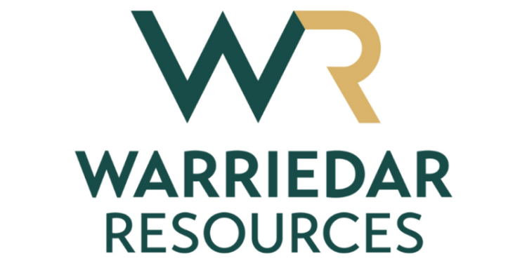 First Diamond Drilling Results at Ricciardo Deliver High-Grade Gold Extensions